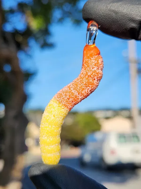 EMPERIAL – Sour Worm Glass Pendant – #5