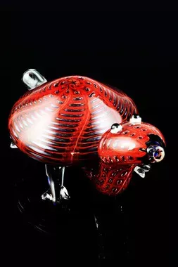 Large Glass Bubble Net Turtle Pipe – AP175