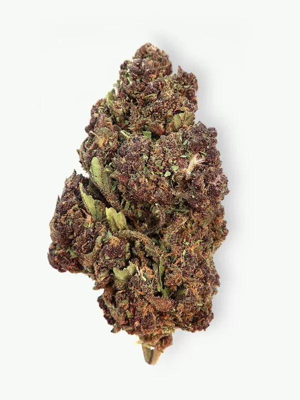 “Purple Urkel” CBD Hemp Flower | (8-13% CBD)
