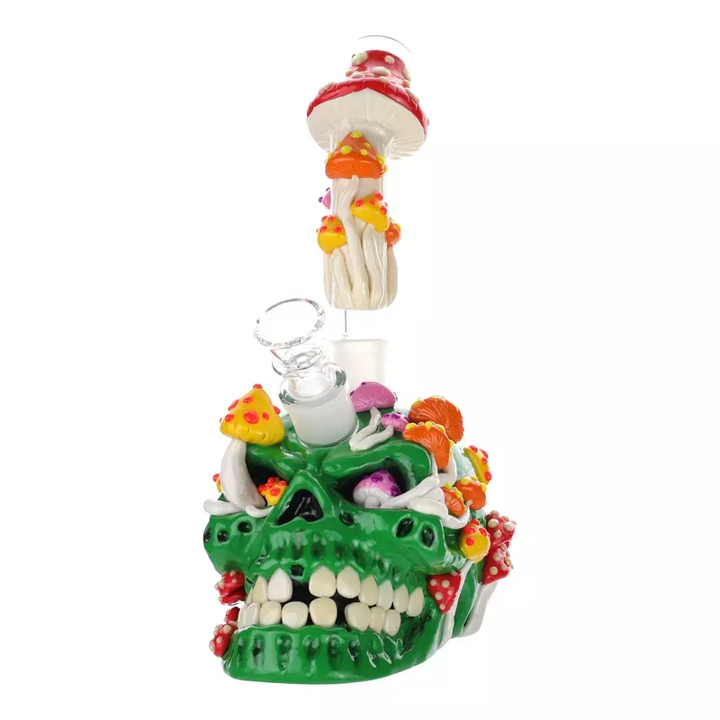 Skull Decay Bubbler Bong – 10in